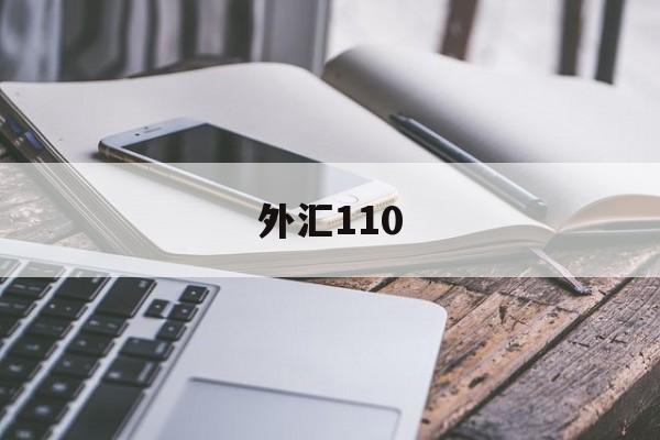 外汇110(外汇110官网在线查询)